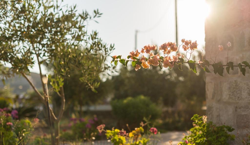 Villa Patmos Netia Szkála Kültér fotó
