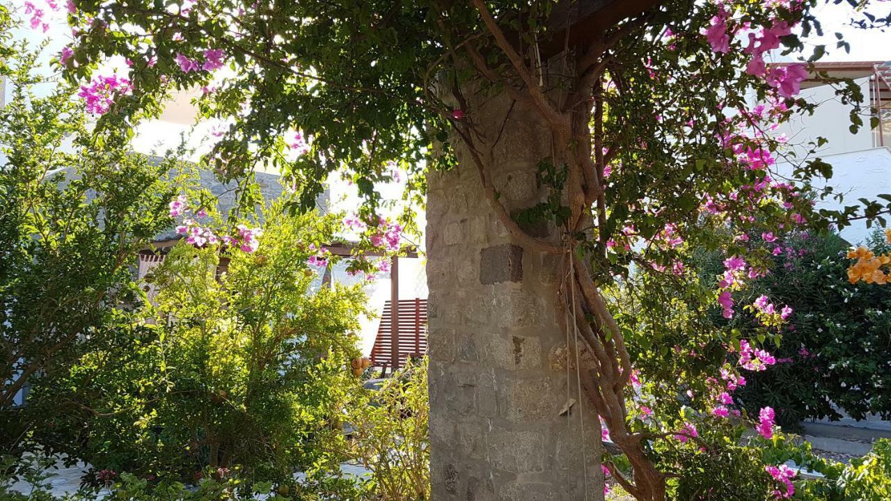 Villa Patmos Netia Szkála Kültér fotó